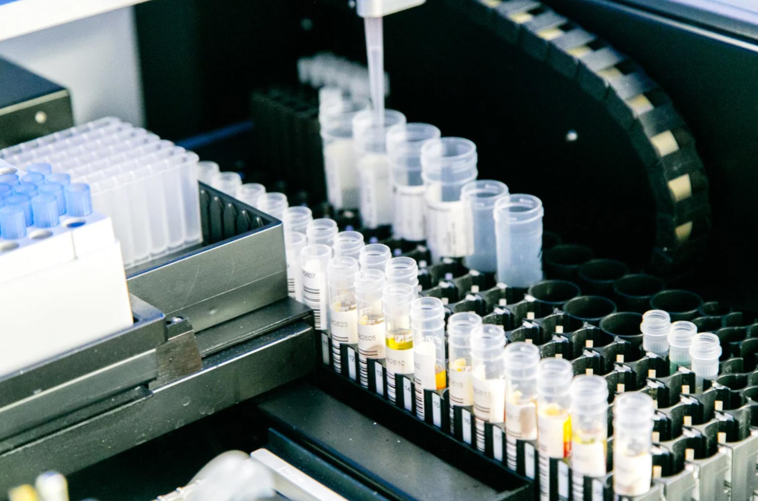 Close-up of test tubes in a laboratory with a pipette dispensing liquid into one of the tubes.